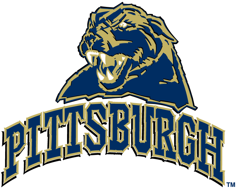 Pittsburgh Panthers 2005-2015 Alternate Logo iron on transfers for clothing